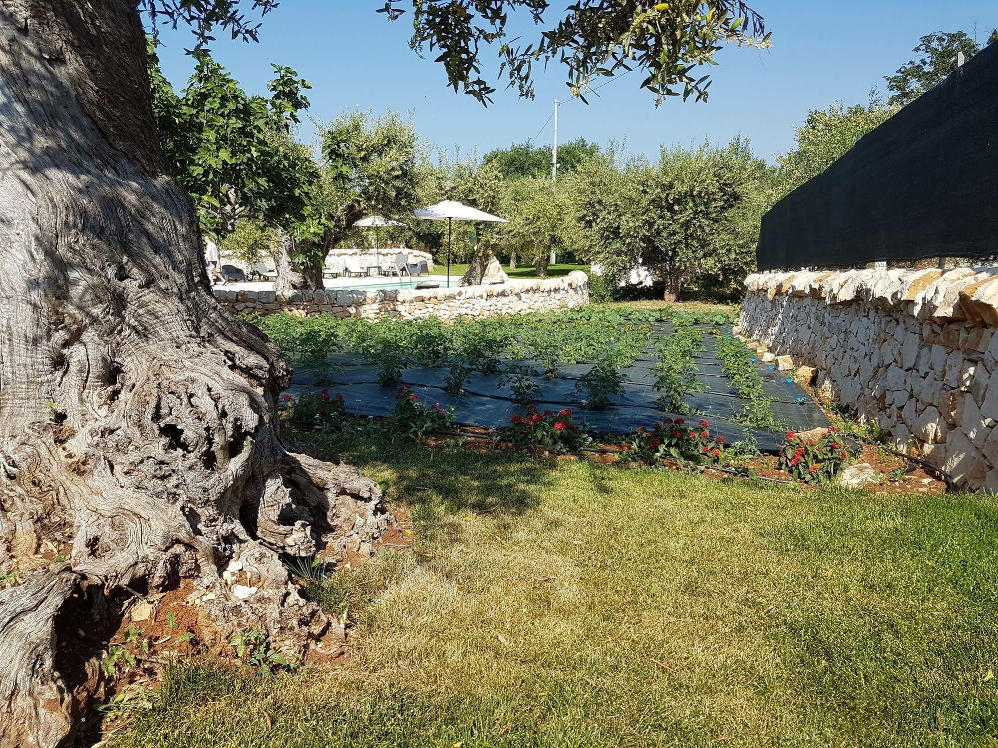 Almapetra Trulli Resort Локоротондо Екстериор снимка